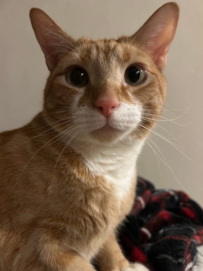 Seeking roommate to apartment hunt with Main Photo