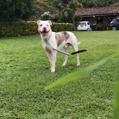 Room wanted in Lake Elsinore, CA Main Photo