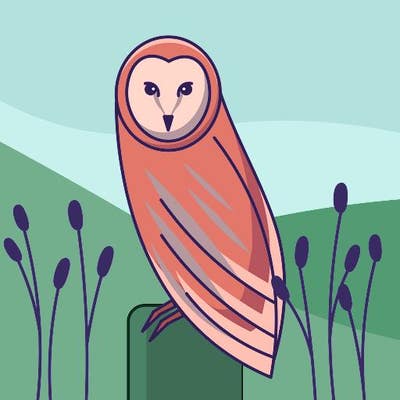 Room wanted in Denver, CO Main Photo