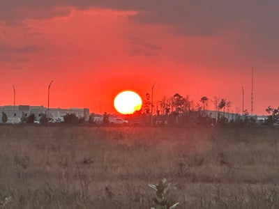 Room wanted in NYC Main Photo