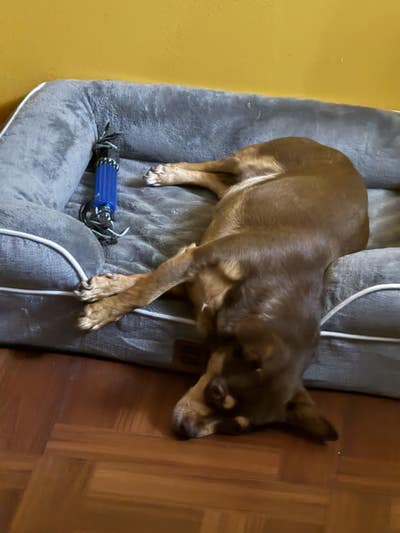 Room wanted in New York Main Photo