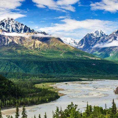 Room wanted in NYC Main Photo