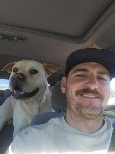 Room wanted in San Diego County, CA Main Photo