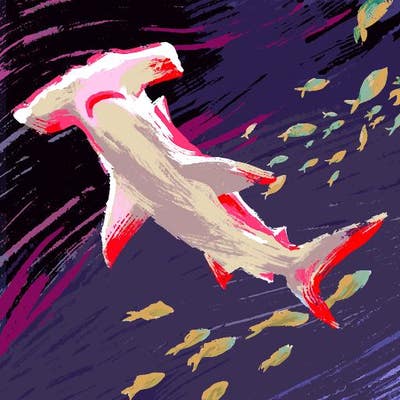 Room wanted in Fort Lauderdale Main Photo