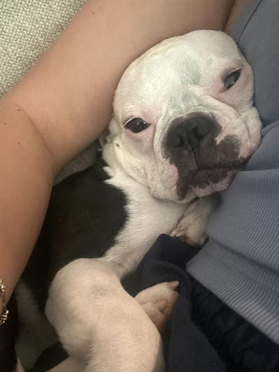 Room wanted in Marathon, FL Main Photo