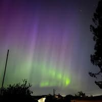 Room wanted in Bonney Lake, WA Main Photo