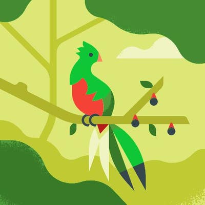 Room wanted in NYC Main Photo