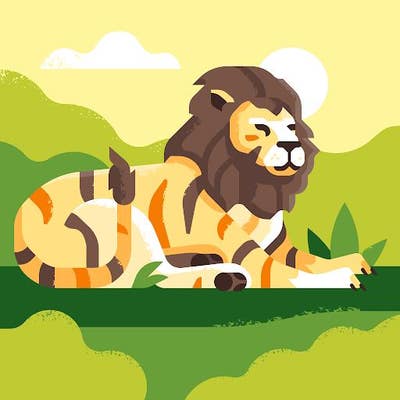 Room wanted in NYC Main Photo