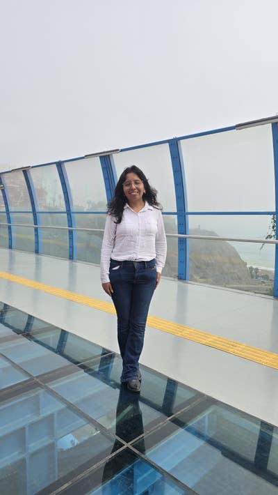 Room wanted in NYC Main Photo