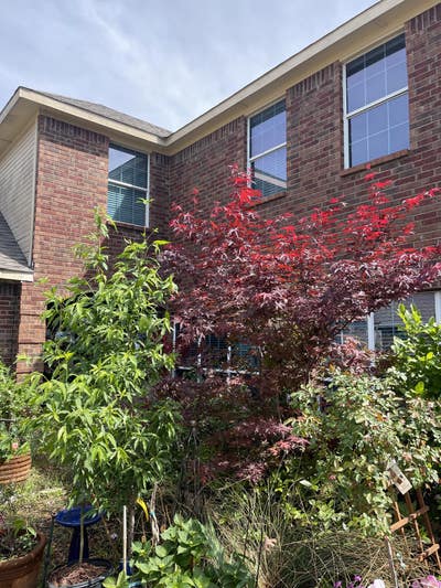 Ladies come share my humble home !! Main Photo