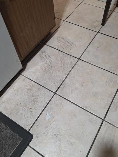 Room for rent  Main Photo