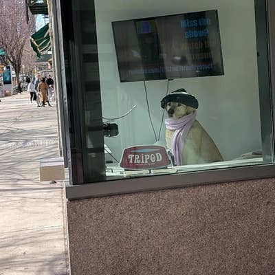 Room wanted in Humble, TX Main Photo