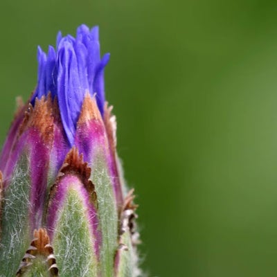 Room wanted in Trenton, NJ Main Photo