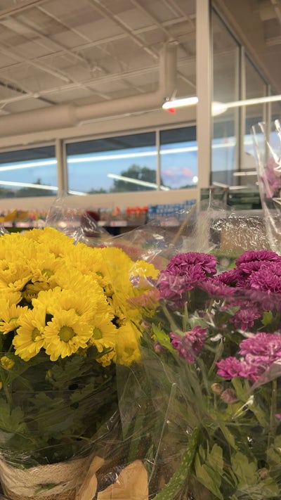 Room wanted in NYC Main Photo