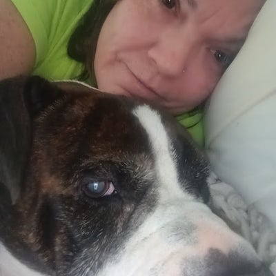 Room wanted in Indianapolis, Marion County, IN Main Photo