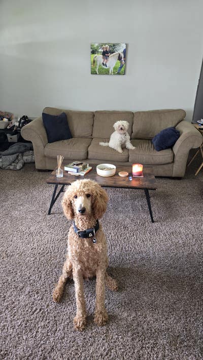 Rooms for rent Main Photo