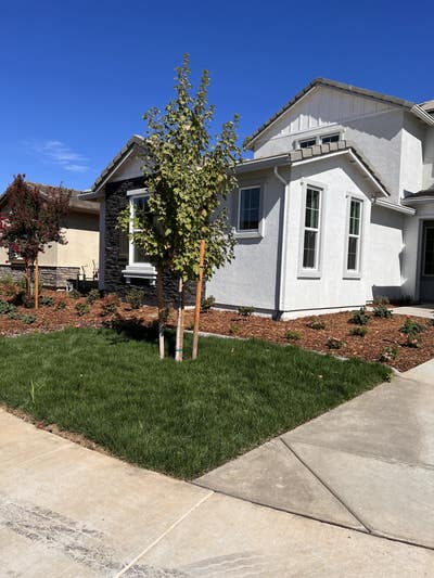 Private Suite w/ Separate Entry & Utilities  Main Photo