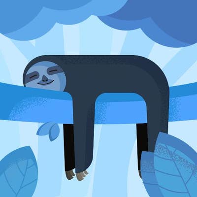 Room wanted in New Jersey Main Photo