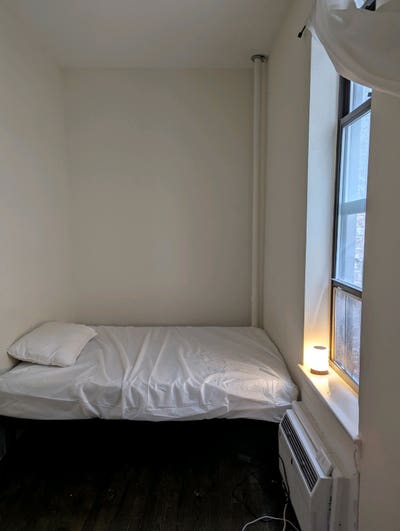 Great roommate + cat! Main Photo