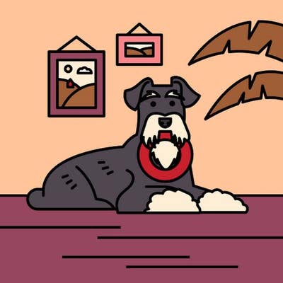 Room wanted in NYC Main Photo