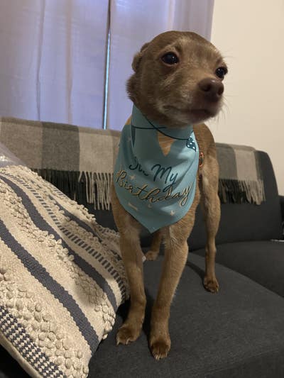 Room wanted in Providence, RI Main Photo