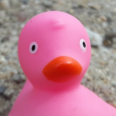 Room wanted in Stone Harbor, NJ Main Photo