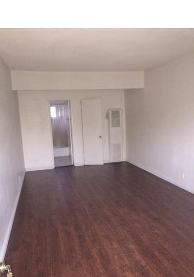 Duplicate of Large Bachelor  Main Photo