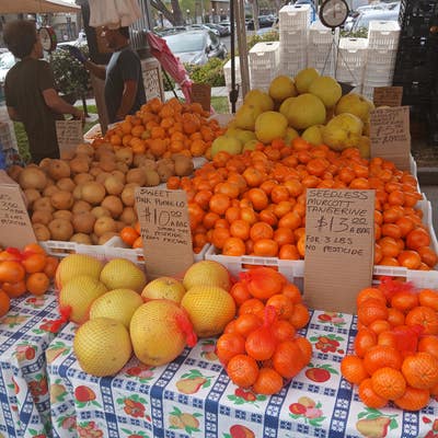 Room wanted in San Francisco, CA Main Photo