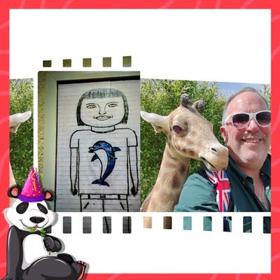 Room wanted in Tampa Main Photo