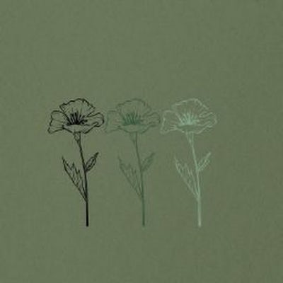 Room wanted in Athens, GA Main Photo