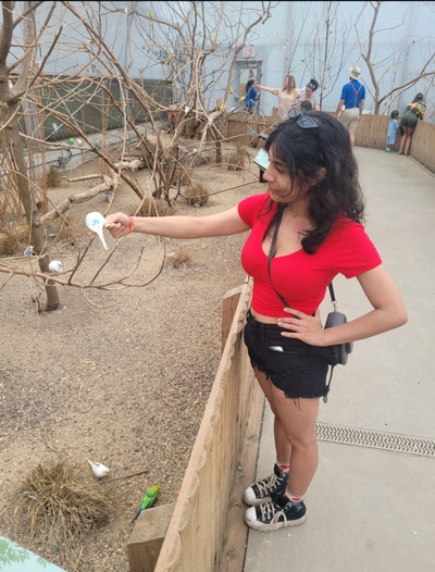 Room wanted in Brooklyn, NY Main Photo