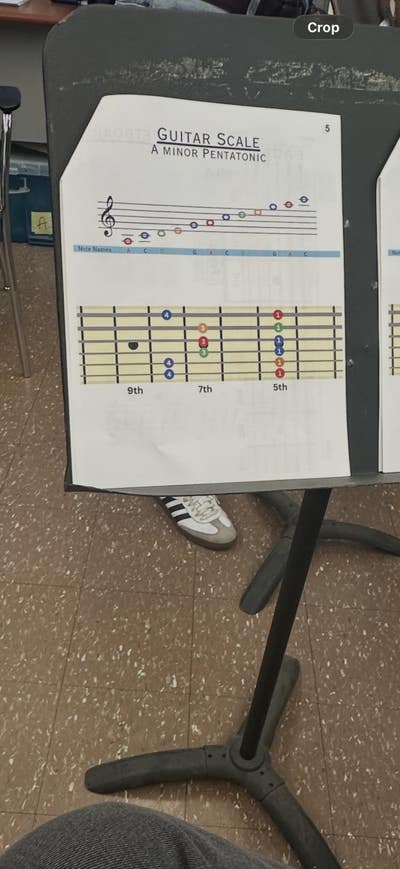 Room wanted in North New York, Bronx, NY Main Photo