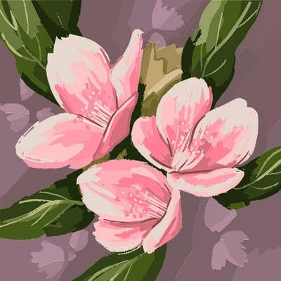 Room wanted in NYC Main Photo