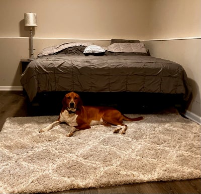 Room for Rent  Main Photo