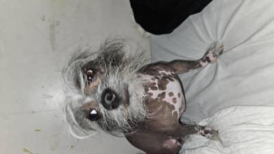 420 friendly never smoke inside, love pets Main Photo