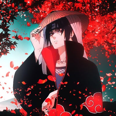 Student looking for a room in Westchester Main Photo