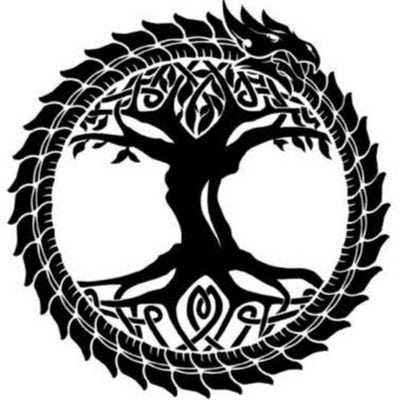 Room wanted in Memorial irlo Bronson Main Photo