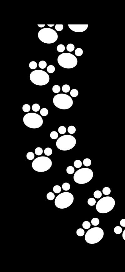 Room wanted in Aurora  Main Photo