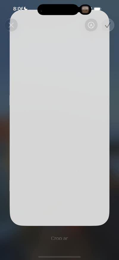 Room wanted in Purchase, NY Main Photo