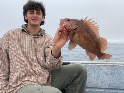 Room wanted in Arcata, CA Main Photo