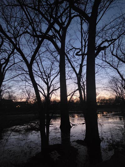 Room wanted in Orland Park, IL Main Photo