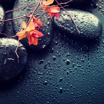 Room wanted in Manhattan, NY Main Photo