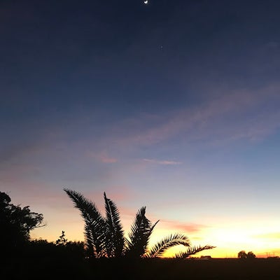 Room wanted in Austin Main Photo