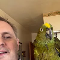 Room wanted in Chicago, IL Main Photo