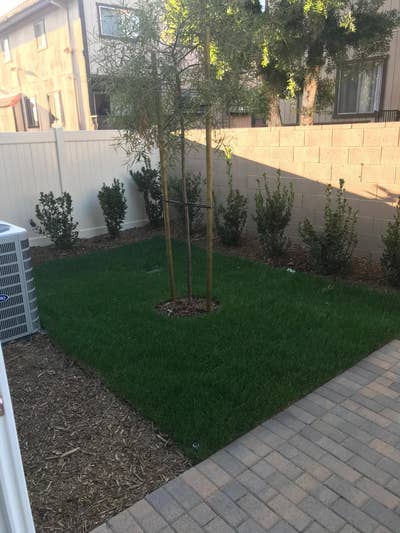 Room for rent $725 (street parking for vehicle) m Main Photo