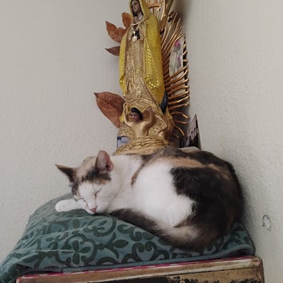 Room wanted in Chula Vista, CA Main Photo