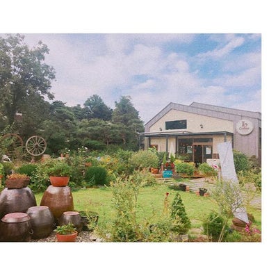 Room wanted in New York Main Photo