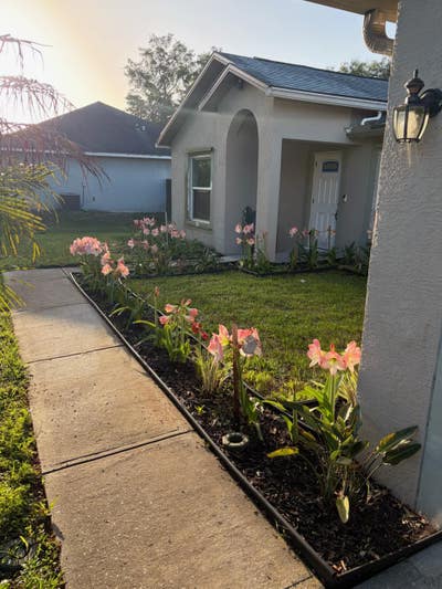 Room for rent  Main Photo