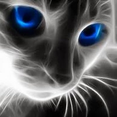 Room wanted in Parkersburg, WV Main Photo