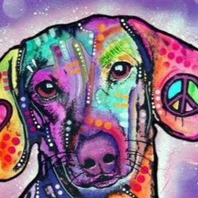 Room wanted in Austin Main Photo